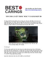 TIVI 3D LÀ GÌ va THẮC MẮC VÀ GIẢI ĐÁP 3D ppsx