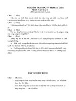 Đè thi HKII (Tự luận)-Tham khảo 1