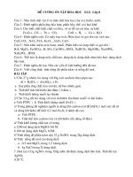 ĐỀ CƯƠNG ÔN TẬP HKII (LỚP 8)