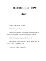 BỆNH HỌC CAN - ĐỞM (Kỳ 2) potx
