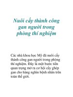 Nuôi cấy thành công gan người trong phòng thí nghiệm doc