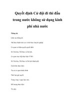 Quyết định Cử đội đi thi đấu trong nước không sử dụng kinh phí nhà nước potx