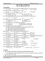 ĐỀ CƯƠNG TIN HỌC 8 HKI