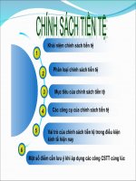 Báo cáo: Chính sách tiền tệ và việc sử dụng các công cụ ở VN potx