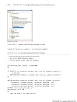 Microsoft SQL Server 2008 R2 Unleashed- P100 ppt