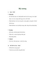 Giáo án sinh học 8 - Bộ xương ppsx