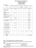 Đề kiểm tra học kì II và đáp án.