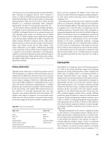 Critical Care Obstetrics part 40 docx