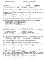 Đề mẫu Hoá_11 HK II số 1