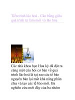 Tiến trình lão hoá - Cân bằng giữa quá trình tự làm mới và lão hóa doc