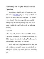 viết và đăng code trong bài viết và comment ở wordpress