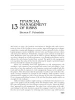 PORTABLE MBA IN FINANCE AND ACCOUNTING CHAPTER 13 pdf