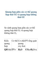Quang hợp giữa các cơ thể quang hợp thải O2 và quang hợp không thải O2 pdf