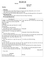 GIAO AN LOP 1- TUAN 33(CKTKN)
