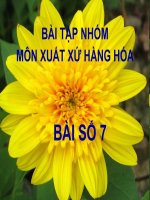 Bài tập nhóm môn xuất xứ hàng hóa - bài số 7 pps