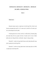 HUMULIN R - HUMULIN N - HUMULIN L - HUMULIN M3 (30/70) - HUMULIN 70/30 (Kỳ 2) doc