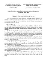 Báo cáo tổng kết hoạt động CD 2008-2009