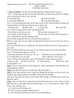 Đề thi vật lí HK2 (tham khảo)