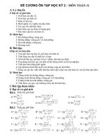 Đề cương ôn thi học kỳ II - Môn Toán Khối 11