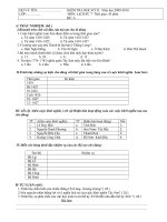 Đề KTHKII Môn sử