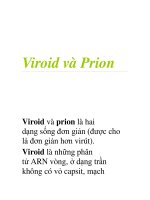Viroid và Prion ppsx
