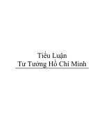 Tiểu Luận Tư Tưởng Hồ Chí Minh pps