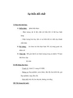 Giáo án Hoá 8 - Sự biến đổi chất pps