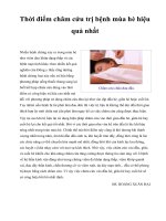 Thời điểm châm cứu trị bệnh mùa hè hiệu quả nhất potx