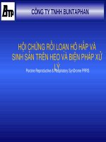 HỘI CHỨNG RỐI LOẠN HÔ HẤP VÀ SINH SẢN TRÊN HEO VÀ BIỆN PHÁP XỬ LÝ ppt