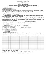 DE THI CUOI KI II MON TIENG VIET 1