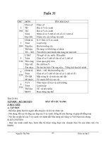 giáo án 3 tuan 31cktkn