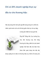 Chỉ có 20% doanh nghiệp thực sự đầu tư cho thương hiệu potx