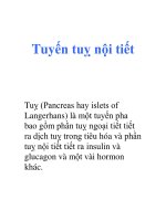 Tuyến tuỵ nội tiết ppt