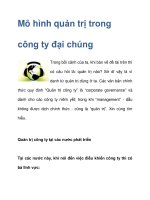 Mô hình quản trị trong công ty đại chúng potx