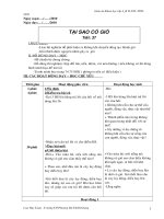 Giáo án - kì II ( CKTKN )