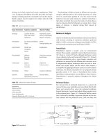 Critical Care Obstetrics part 21 ppsx