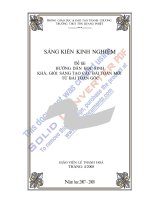 SÁNG KIẾN KINH NGHIỆM HAY ĐÂY 1