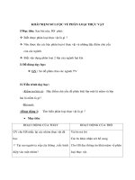 Giáo án Sinh học 6 - KHÁI NIỆM SƠ LƯỢC VỀ PHÂN LOẠI THỰC VẬT doc