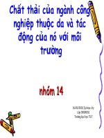 Xứ lý nước thải thuộc da pdf