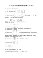 Bài tập thực hành đại số tuyến tính ppt