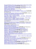 MeGanBook version 6.1 part 23 pps