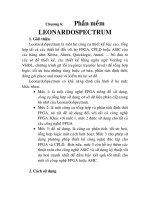 Thiết kế hệ thống xử lý ảnh video trên FPGA (CycloneII), chương 6 docx