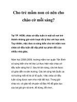Cho trẻ mầm non có nên cho chào cờ mỗi sáng? doc