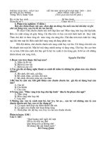 ĐỀ KHẢO SAT HSG 4 TIẾNG VIỆT