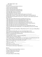 đề cương ôn tập HKI toán 7