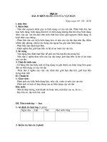 bien dang co vat ran