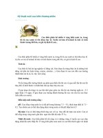 Kỹ thuật nuôi cua biển thương phẩm ppsx