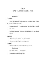 Sinh học 7 - CẤU TẠO TRONG CỦA THỎ potx