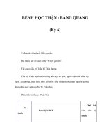 BỆNH HỌC THẬN - BÀNG QUANG (Kỳ 6) * Phân tích bài thuốc Hữu quy ẩm: Bài thuốc pot
