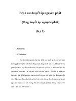 Bệnh cao huyết áp nguyên phát (tăng huyết áp nguyên phát) (Kỳ 1) docx